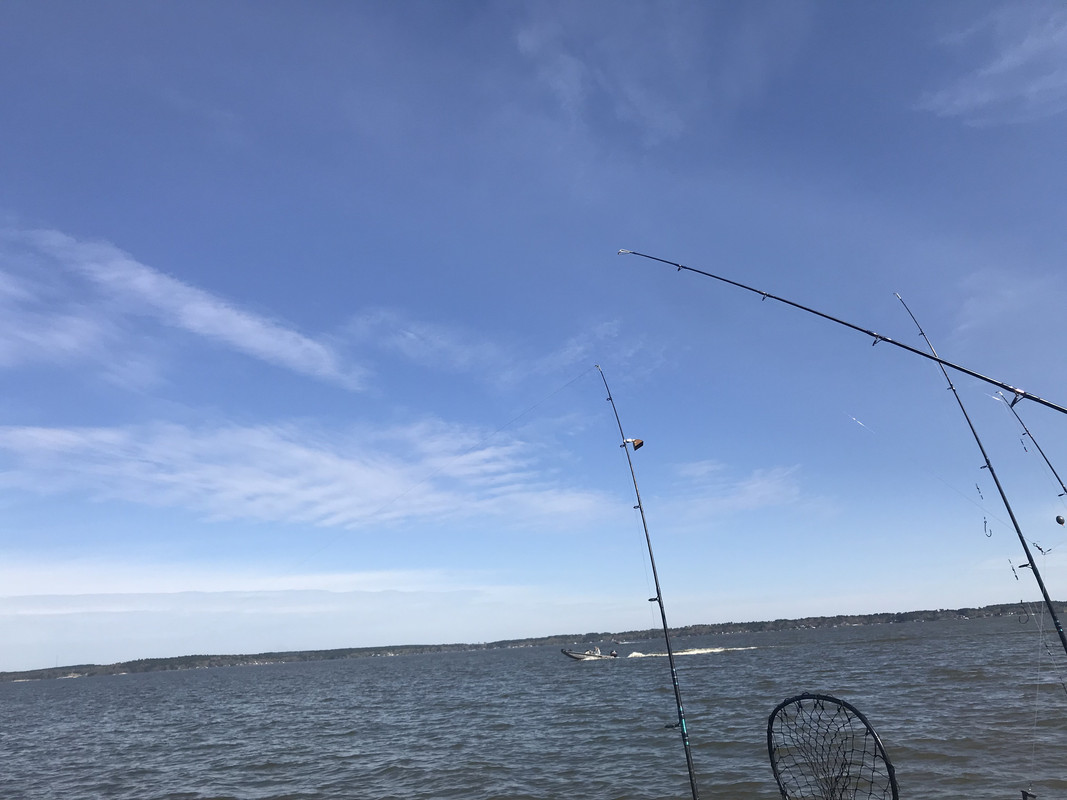 41BE288A-FAA6-477B-BF4B-55C771D7F898