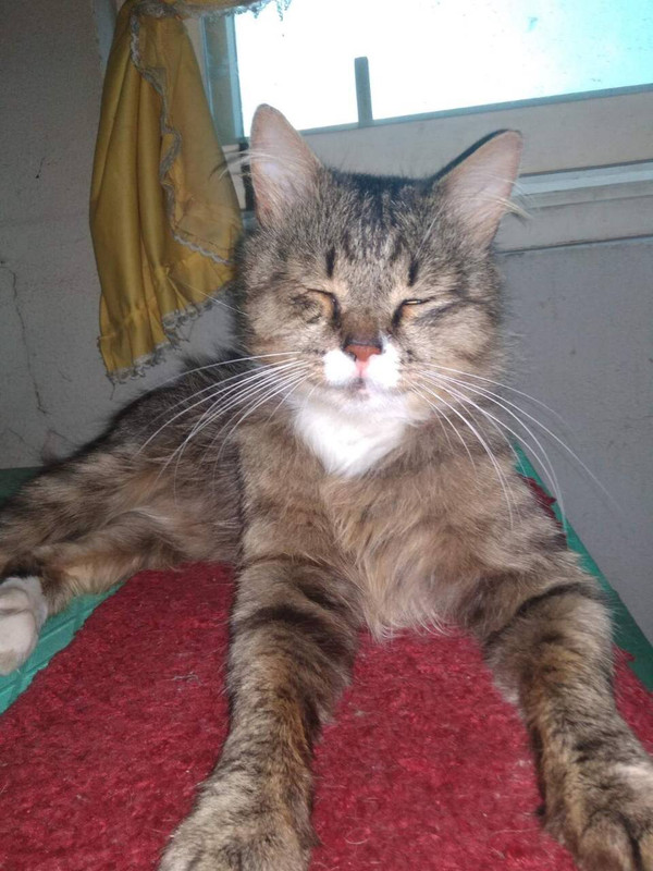 9A2F4496-ADF0-4DB8-89C2-CF117B36942B