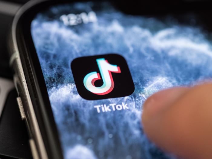 En TikTok un perrito le dio una divertida lección a una mujer