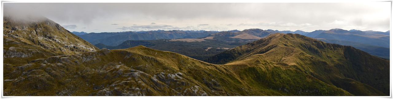 Kahurangi NP: Tableland/Mt Arthur Circuit (abril 2023) - Escapadas y rutas por la Nueva Zelanda menos conocida (28)