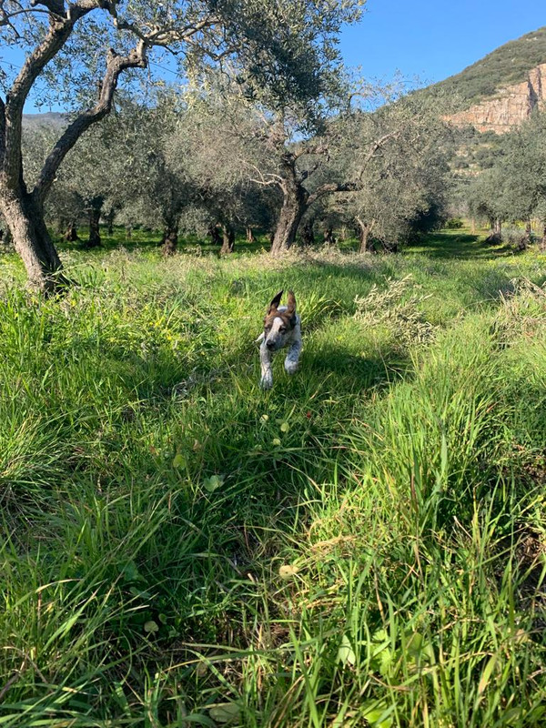 4253839E-D600-4106-80D8-2F59655A6EAC