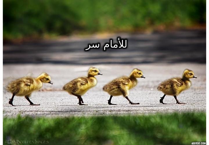 ���� ���� ������ �� ���� ������