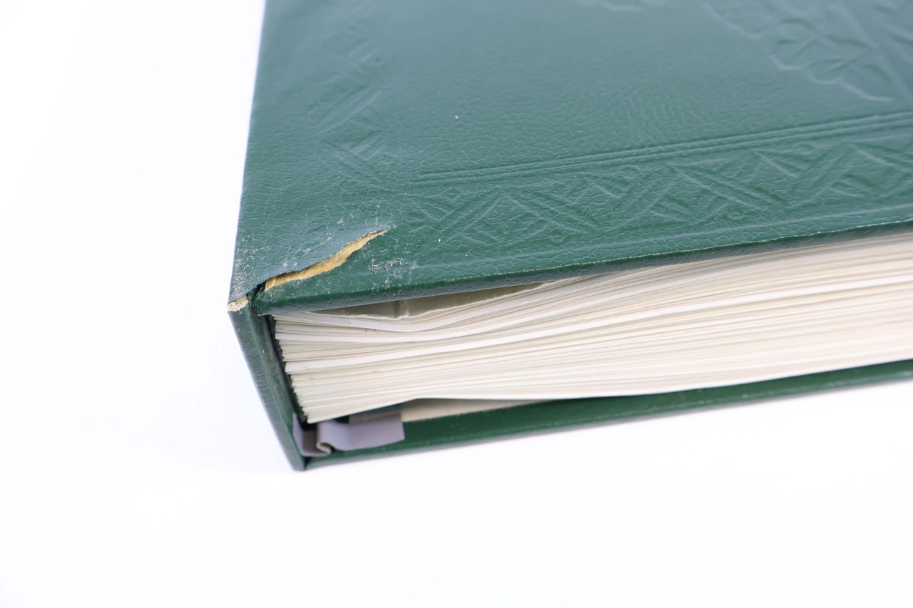 IMG 7145