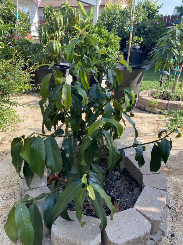 D3380624-8911-4272-B042-911368FDF323