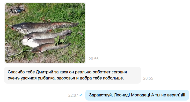 Отзыв с Авито....