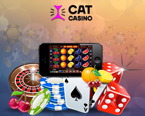 Cat casino mobile site. Кэт казино. Игра честное казино. Казино с моментальным выводом. Игра в казино Cat.