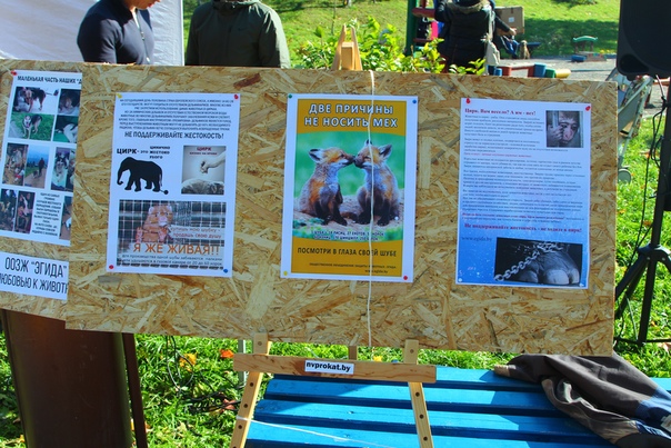 D600EF6F-ED00-4861-AD7B-ABB7419AEE4A