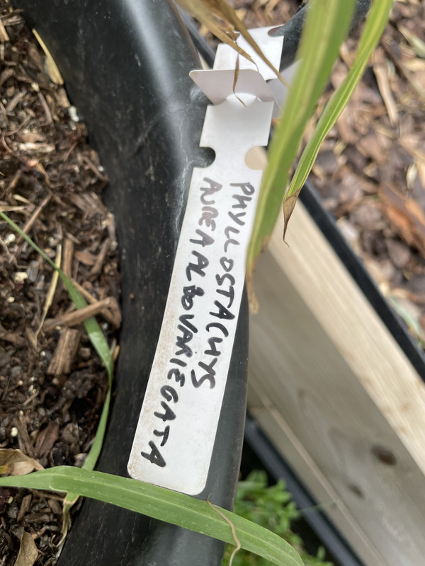 134C3AB7-7967-4D0C-AB3A-492021876B4E