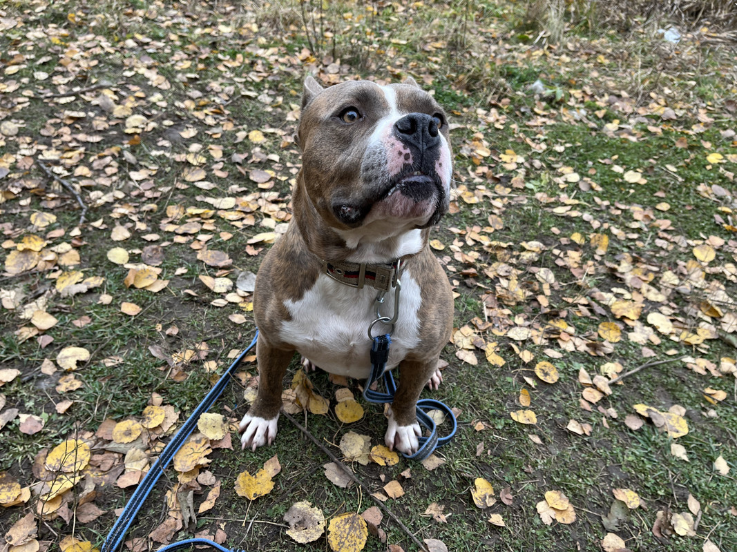 9DB0FE12-1FB6-4990-B854-965DD0CF128F