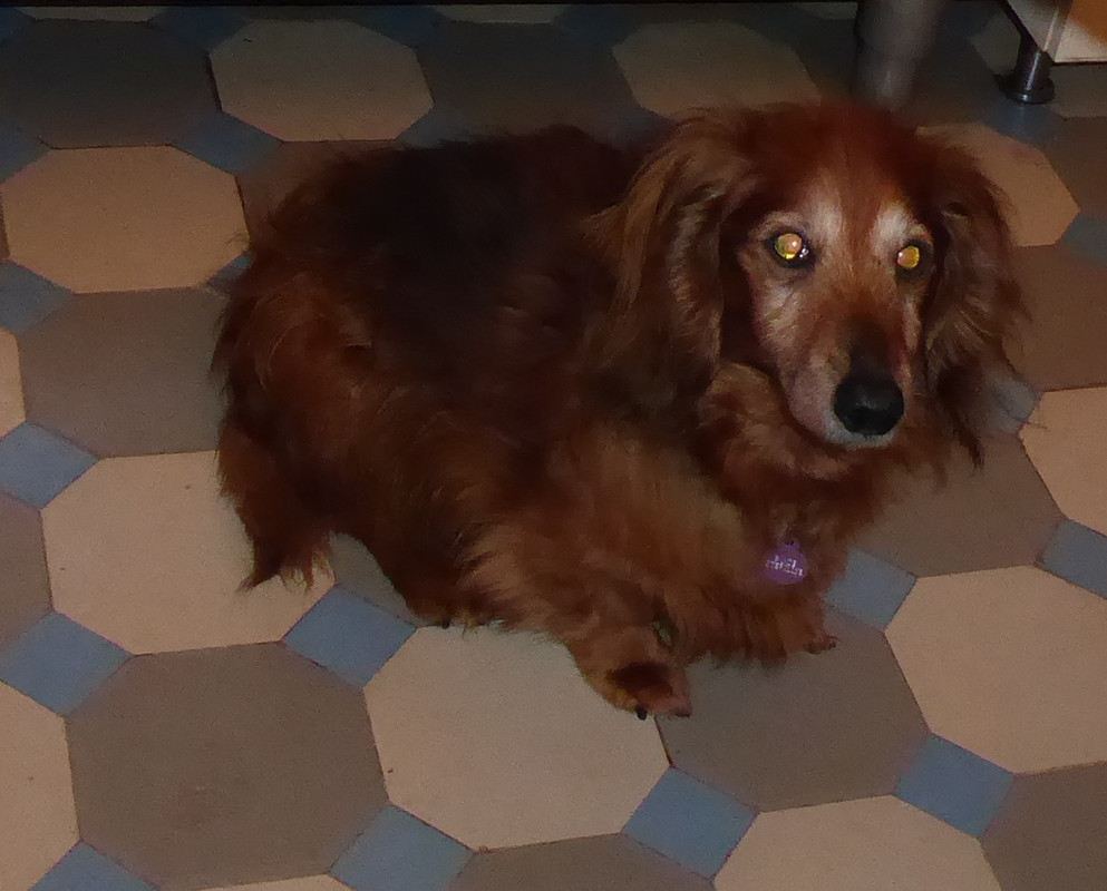 [Image: P1040635.jpg]