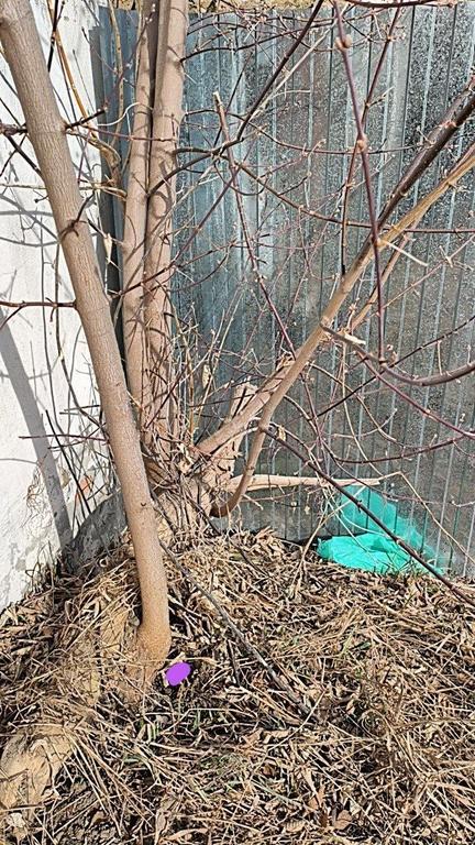 5692802973 f25cc804 jpg