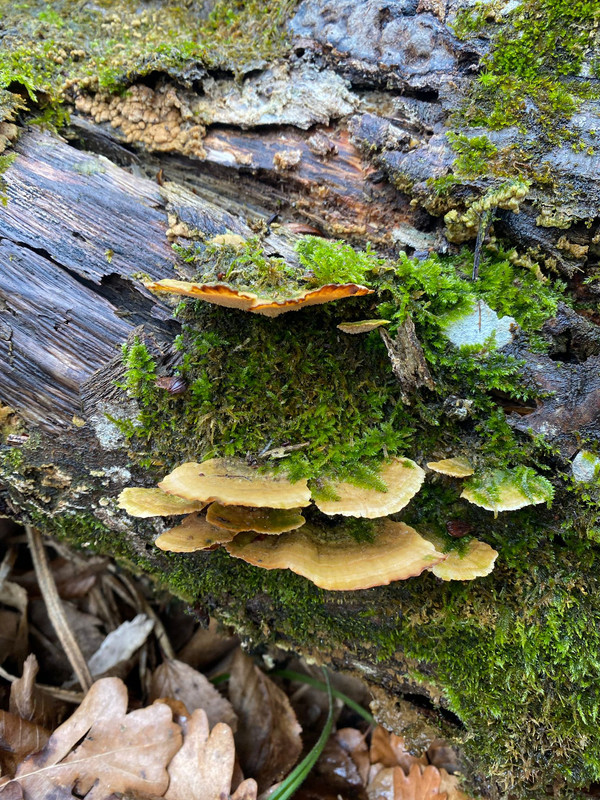 IMG-20230219-WA0008 (1)