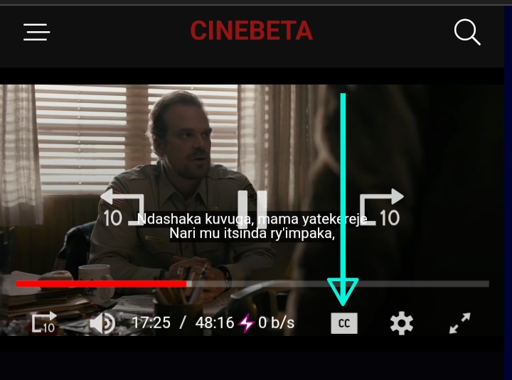 Subtitle Selection