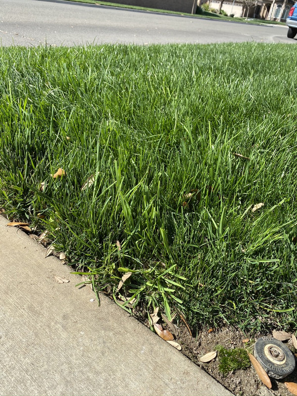 C0170C3C-2C93-46D8-9597-BDCC439580F1_1_105_c