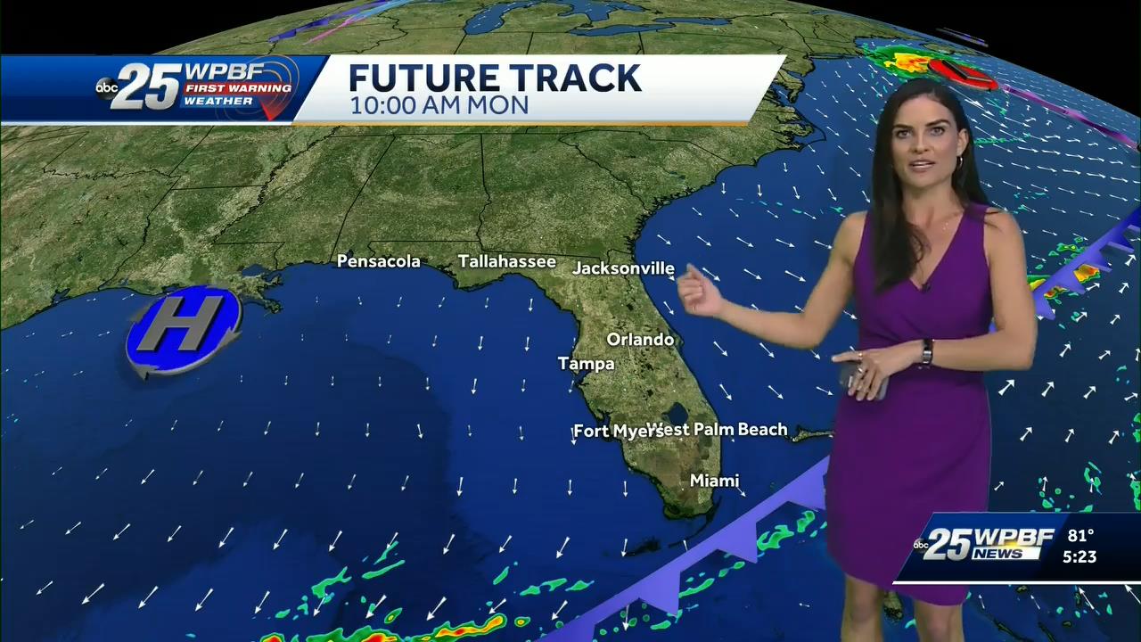 01.03 - 22.00.00 - Wpbf 25 News At 5 00.-1.m4v_snapshot_00.19.39_[2021.01.04_01.09.38]