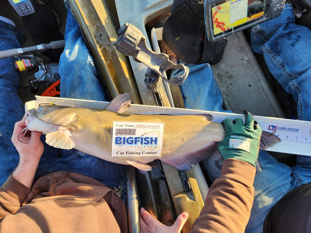 C834CF69-91CD-4A1B-B061-F0A717872D26