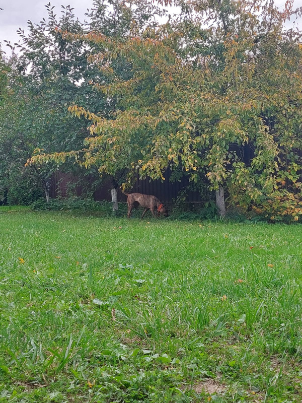 8C2D9189-918A-4BDC-8309-0C0FDEB0C8E0