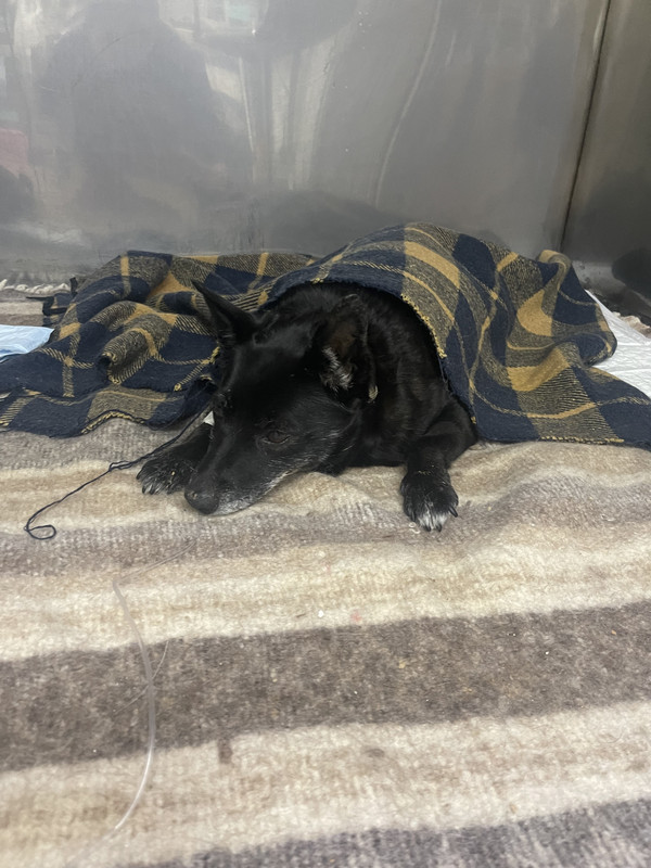 AF58E133-4C67-4BBD-A47C-FDA4F29C58E2