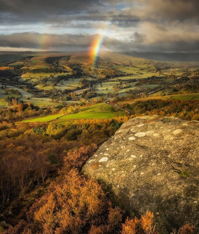 Screenshot_20231208_212521_Instagram