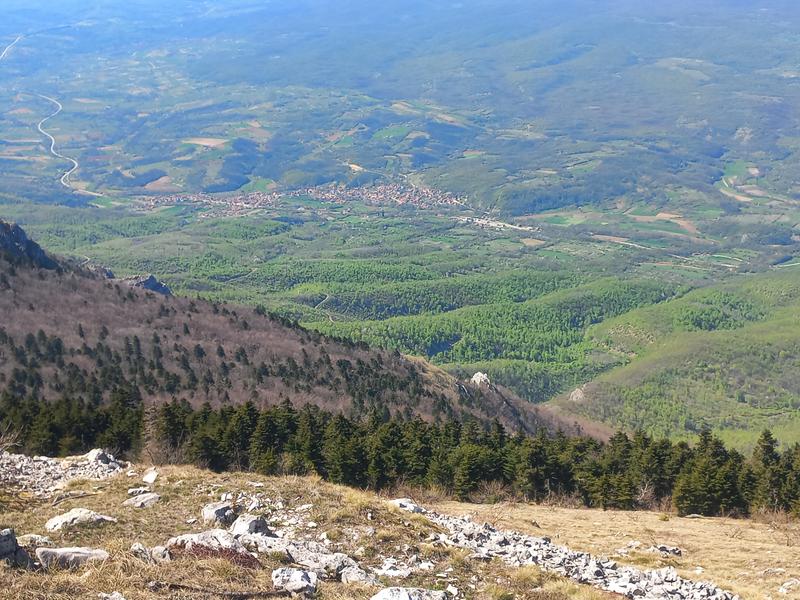 gfaejhgue-(21).jpg