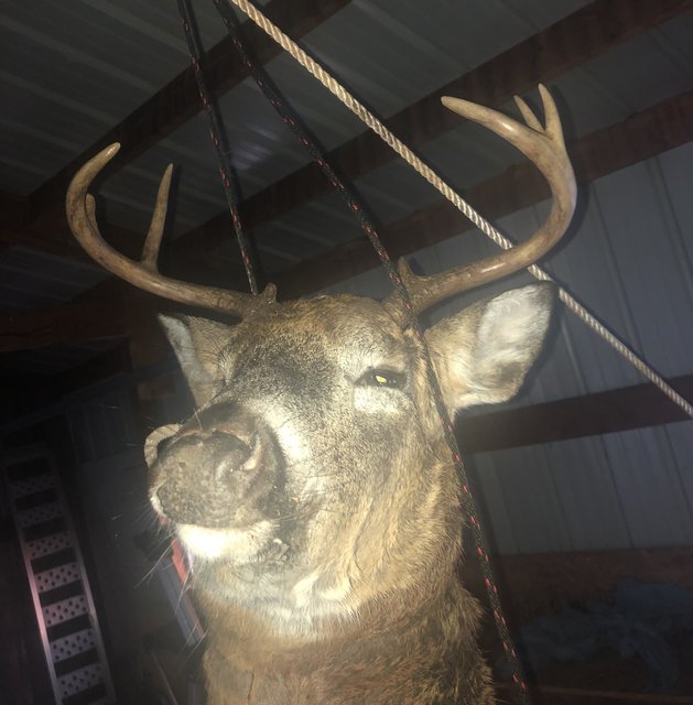 6F7B072A-2B34-4E37-9E2F-F26B6DA5935F