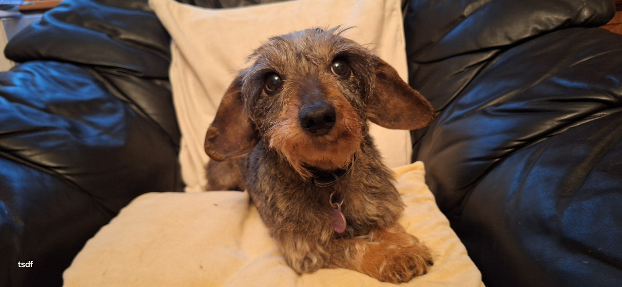 [Image: 20250423-074306.jpg]