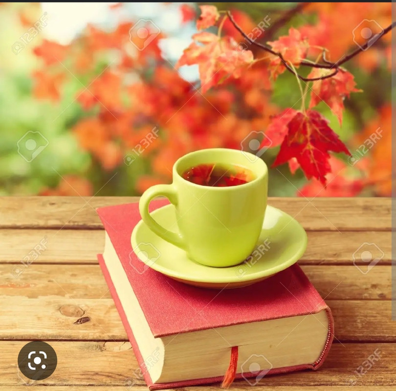 Screenshot_20221126-004503_Chrome