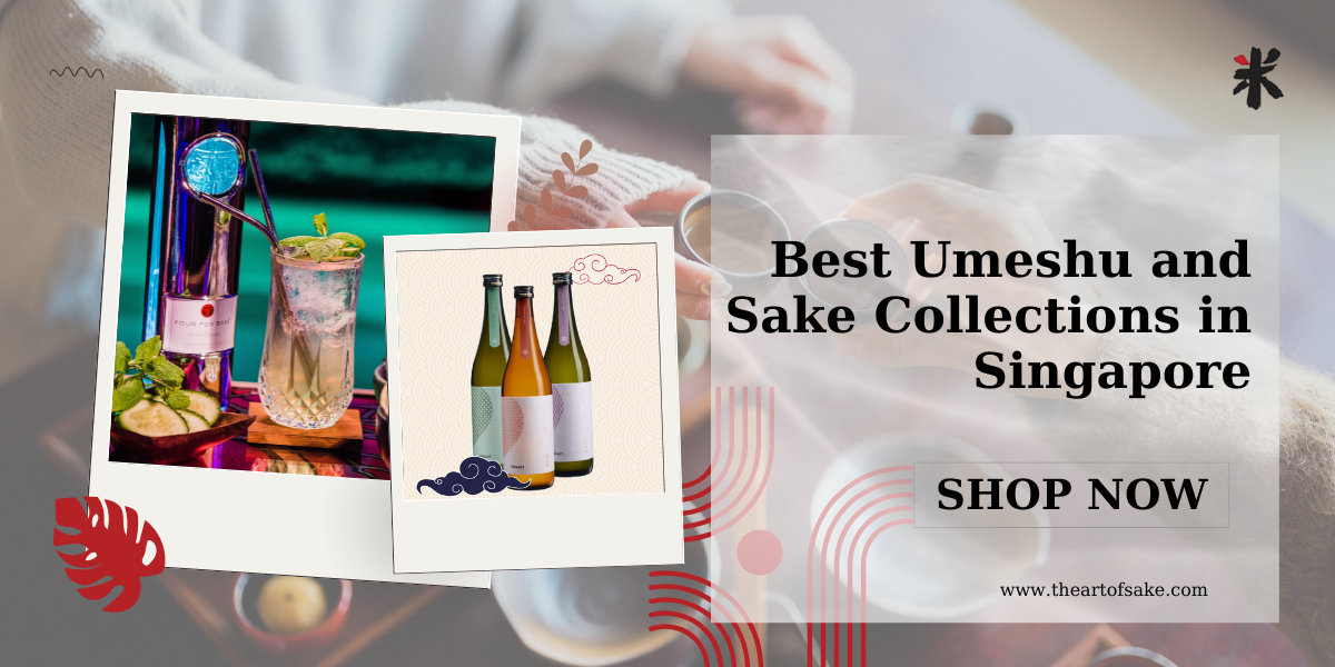 Best Sake to Drink for Every Occasion | The Art of Sake