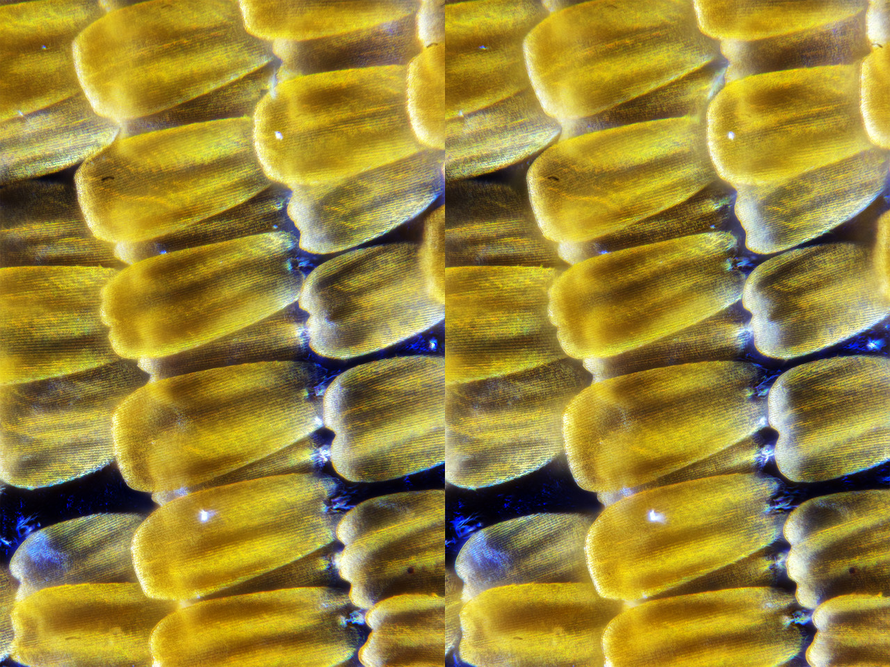 Stereo 2 6 Cross Tpnd 4K