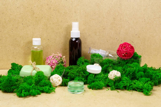 sea moss supplement