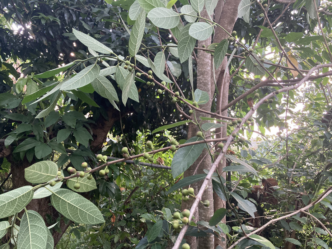 5C81CD1E-AAE8-4C27-A2AB-FDA36C03E97A