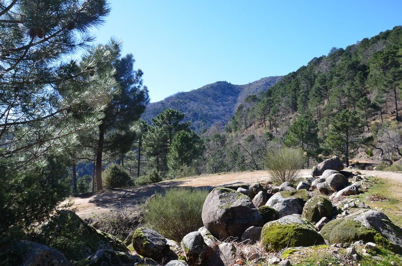 RUTA EMBALSE DEL HORCAJO Y GARGANTAS DEL VALLE DEL TIETAR-20-2-2016-AVILA - Paseando por España-1991/2016 (41)