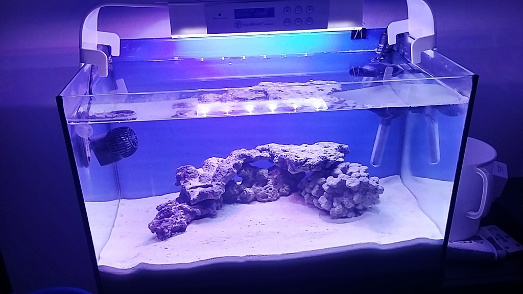 20160531_210752_Richtone(HDR)