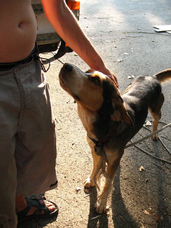 ADP System Pancharevo 2009 (46)