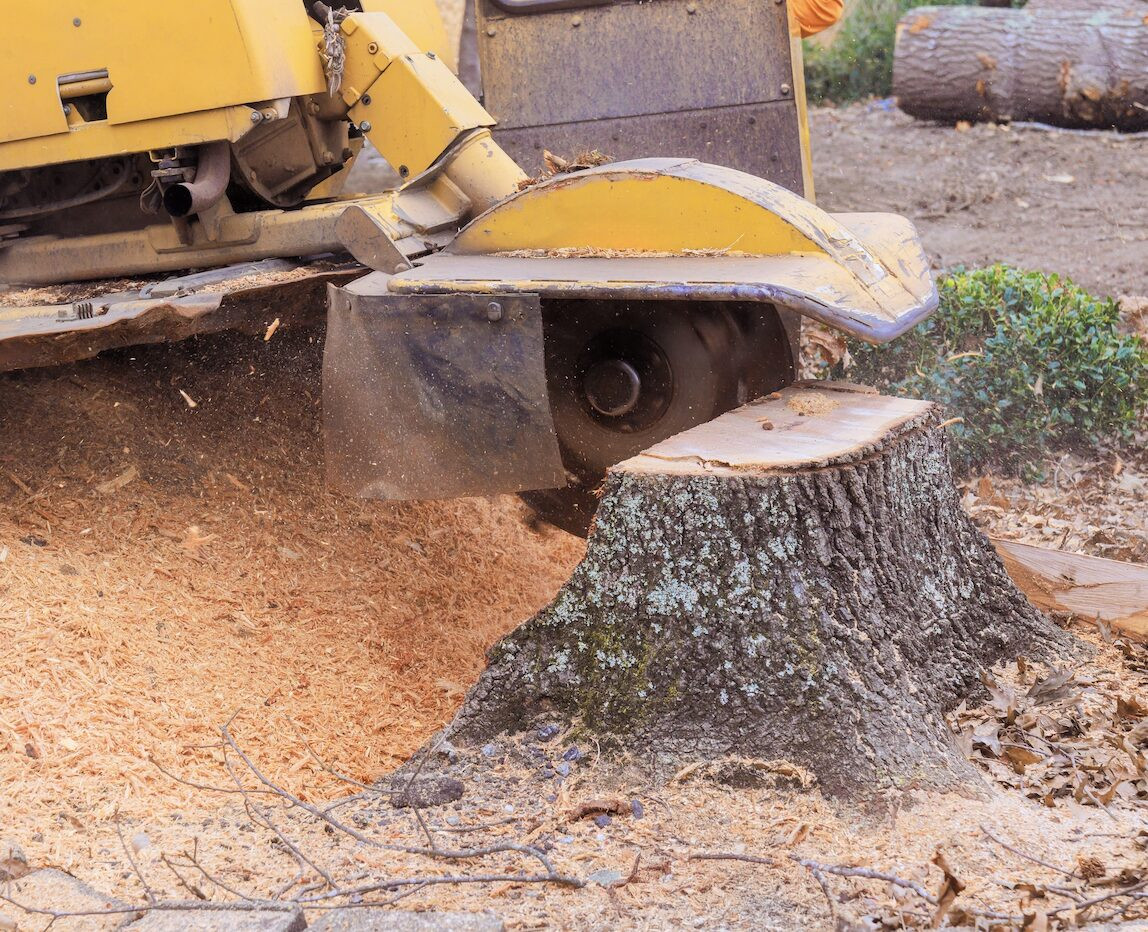 Stump Grinding