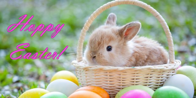 hoppy-easter.jpg