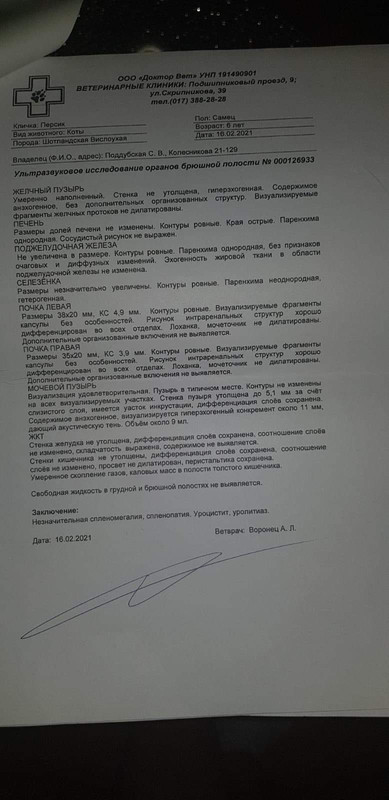 1177E6A7-D2C9-44A8-BBAF-7F27013D8638