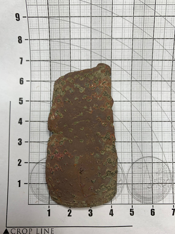 image2 (11)