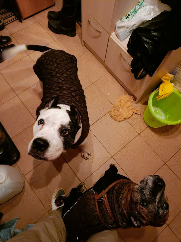 2B250169-2139-49B3-9D67-26EBD6757BC0