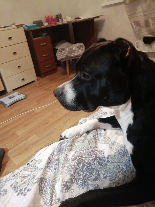 182B9625-3221-4EF4-B4D2-2E4975375AFB