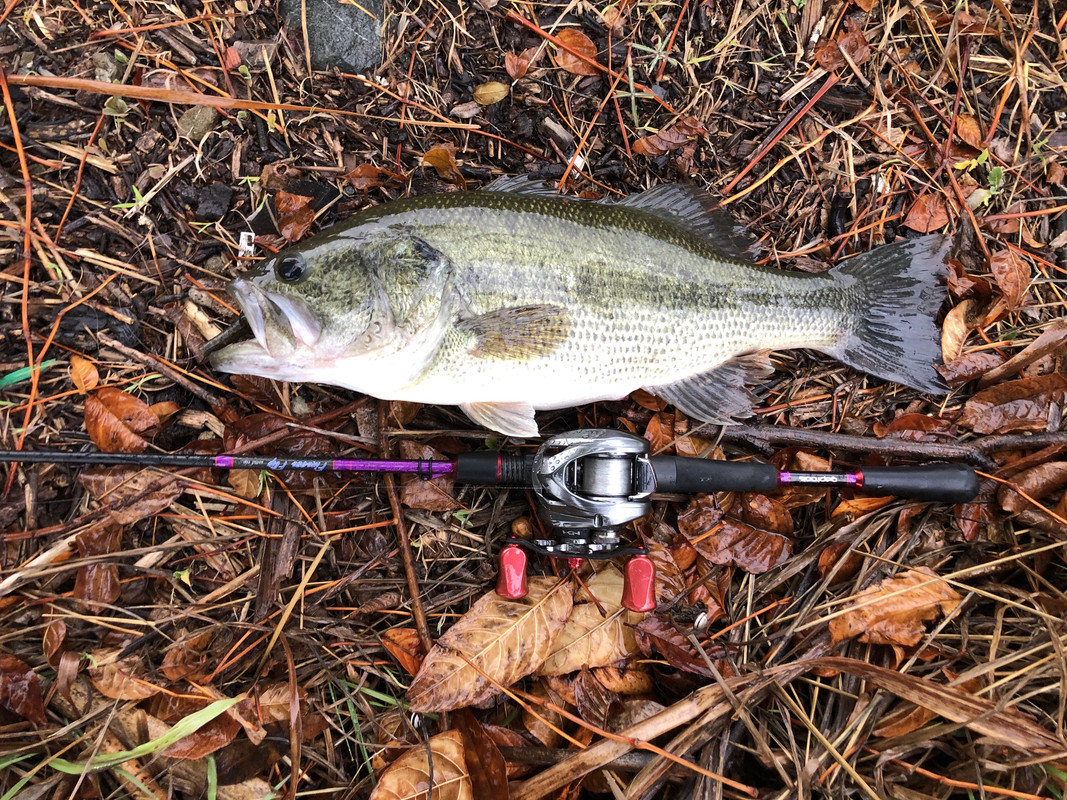 FAF0DE34-E8CB-4639-BD18-8F8CFDEBD166