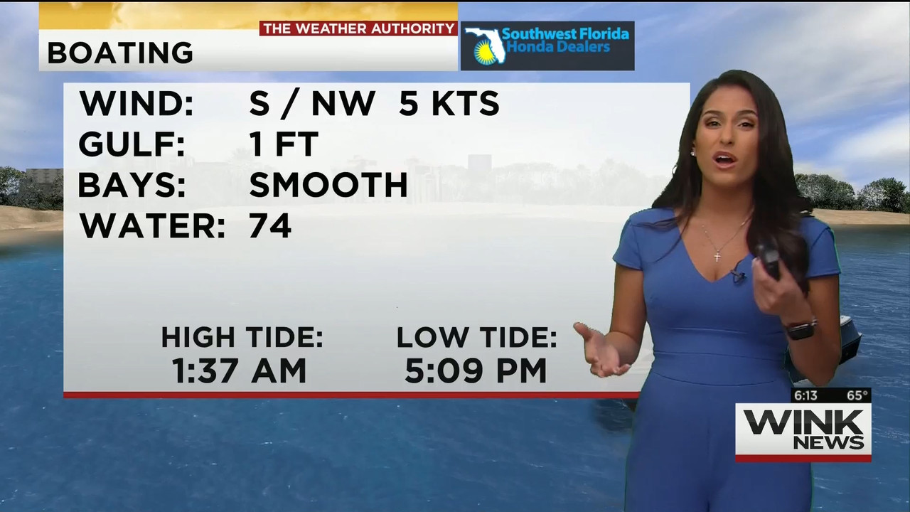 11.28 - 11.00.00 - WINK News This Morning..ts_snapshot_13.50.462