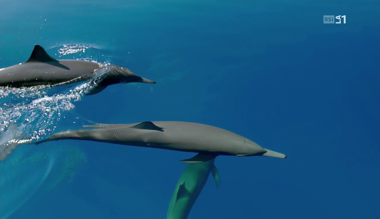 vlcsnap-2016-12-08-09h37m01s744