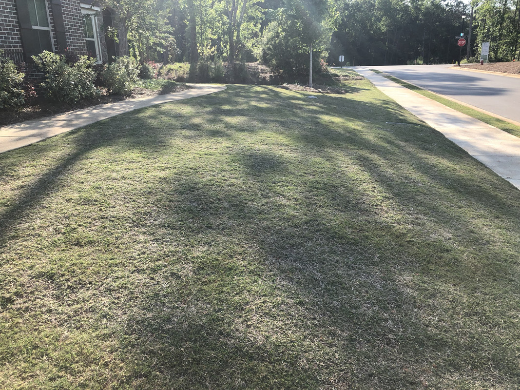 C62A254E-5E3B-4A2A-8682-CB09BF0FAC52