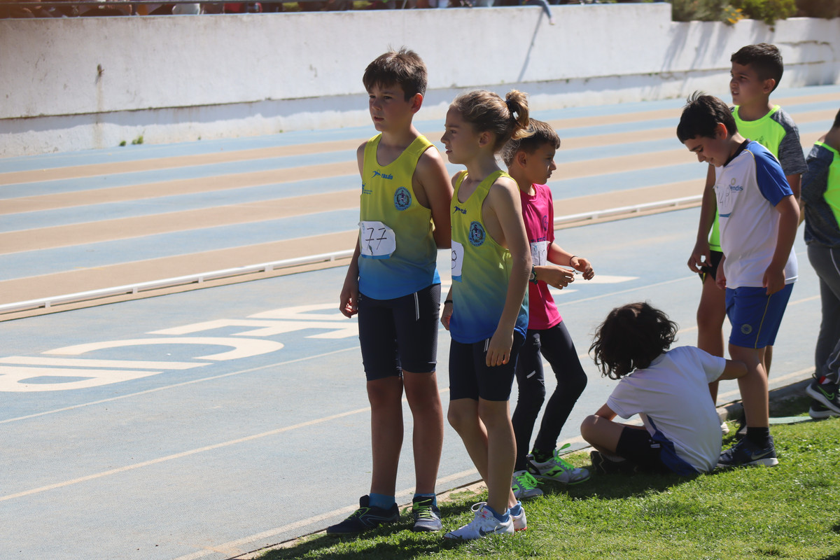 IMG-4496