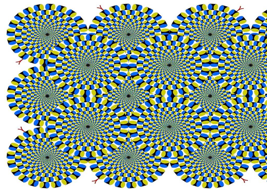 DSCN0440