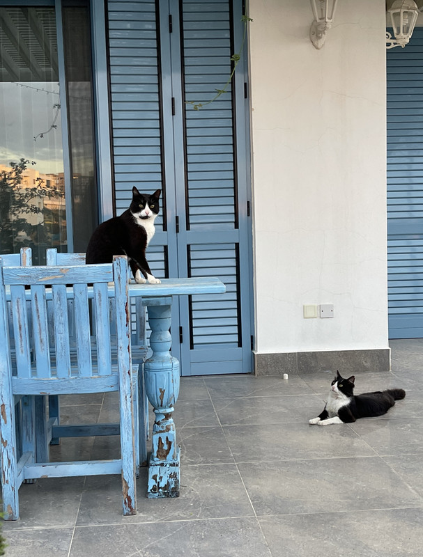 BD57BEB5-930A-4883-A1FF-F07FF9AAB8E9