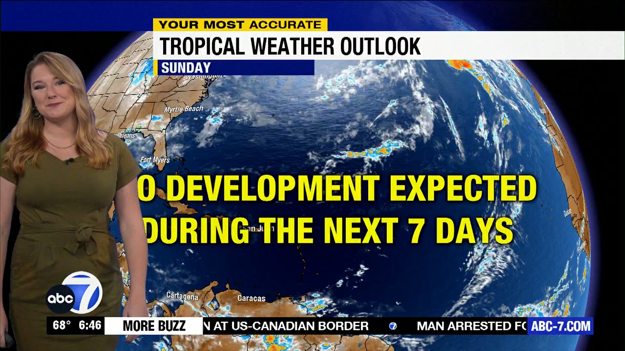 ABC7 More in the Morning Wkn 6am Su_20231126_11001200.ts_snapshot_46.56.208