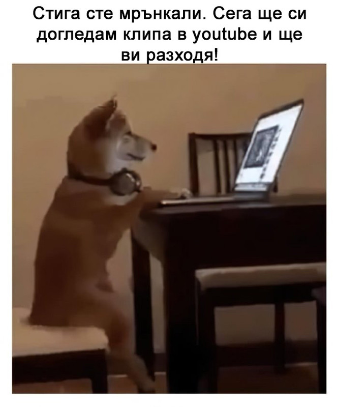14253814