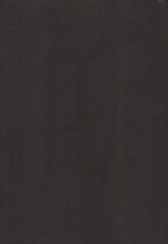 2-p0498